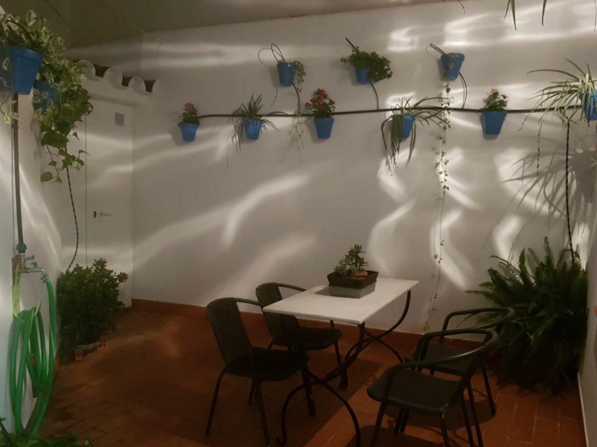 科爾多瓦El Patio De La Aljama公寓 外观 照片